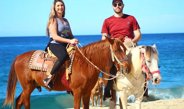 Cabo Desert ATV & Beach Horseback Combo and Tequila Tasting