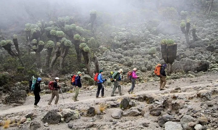 CLIMB THE KILIMANJARO rongai route