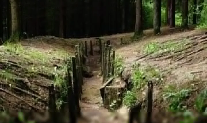Private tour of the battlefields of Verdun from Paris in Van (2/7 travelers)