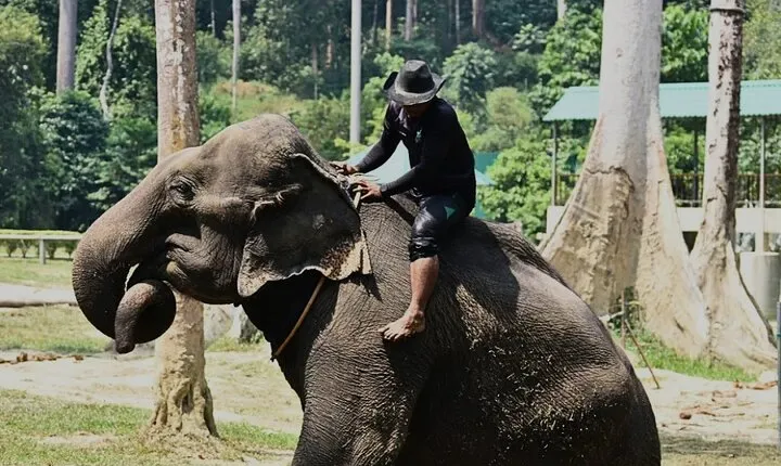 Kuala Lumpur Bus Tour Experience 3 Days