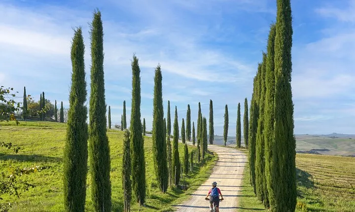 San Gimignano to Siena PRIVATE E-Bike Tour + Pick Up & Drop Off