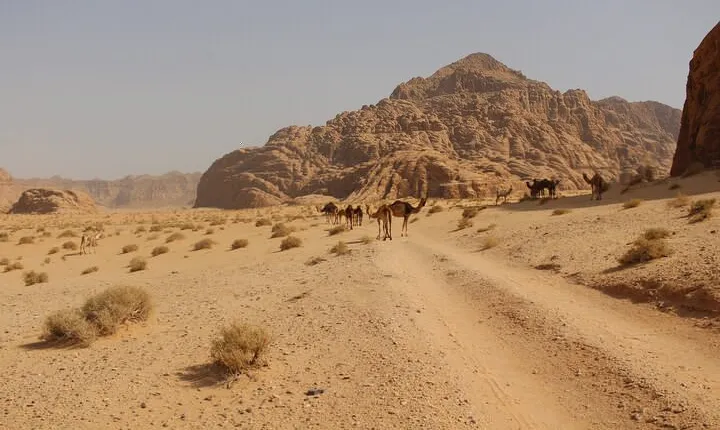 Wadi Rum Full Day Jeep Tour