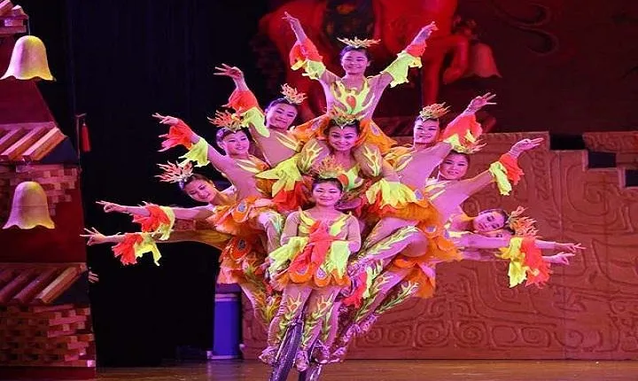 Acrobatics show tickets (Private transportation included)