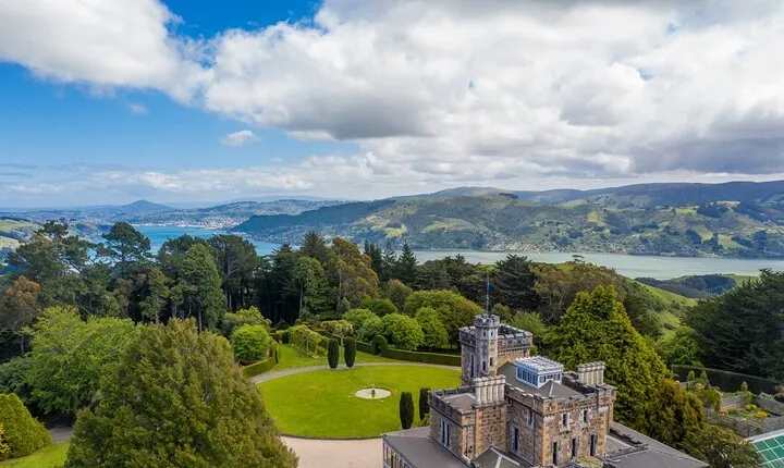 Cruise Dunedin City and Castle Tour
