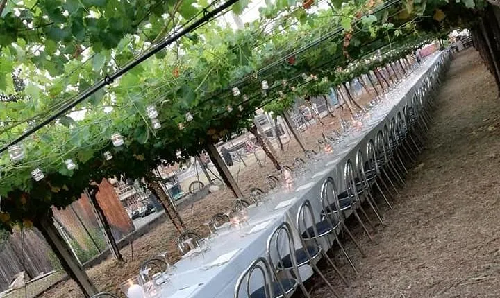 La Pergola in festa - Dinner in the vineyard