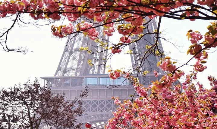 Private Photo Tour in Paris with a Professional Photographer