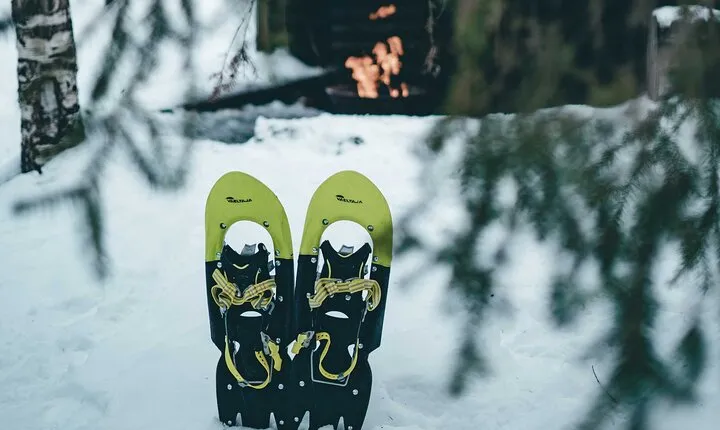 Rovaniemi: Snowshoeing in a magical snowy forest
