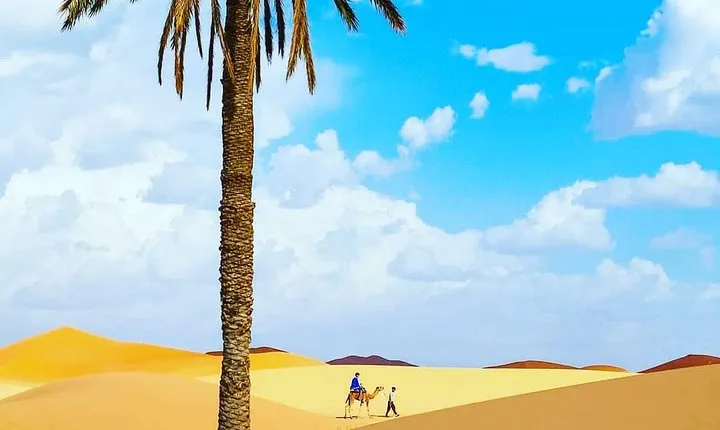 Best Casablanca Desert Trips