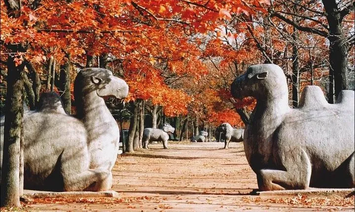 Flexible Private Nanjing Layover Tour
