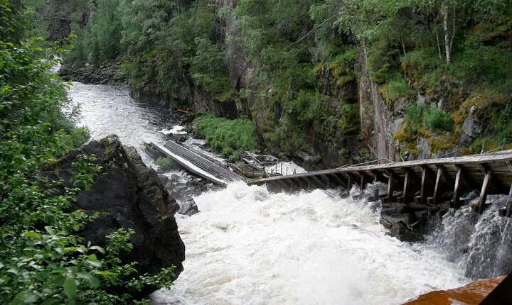 Rovaniemi: Insider Summer Auttiköngäs Hiking Tour