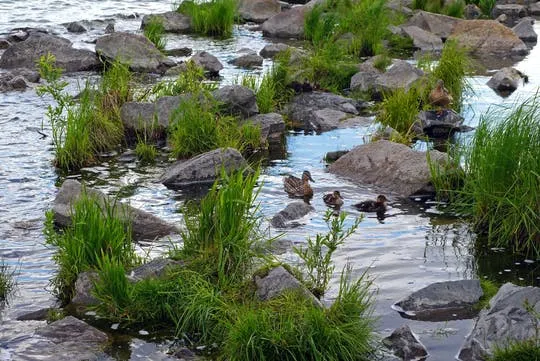 5-hour nature and banya private tour