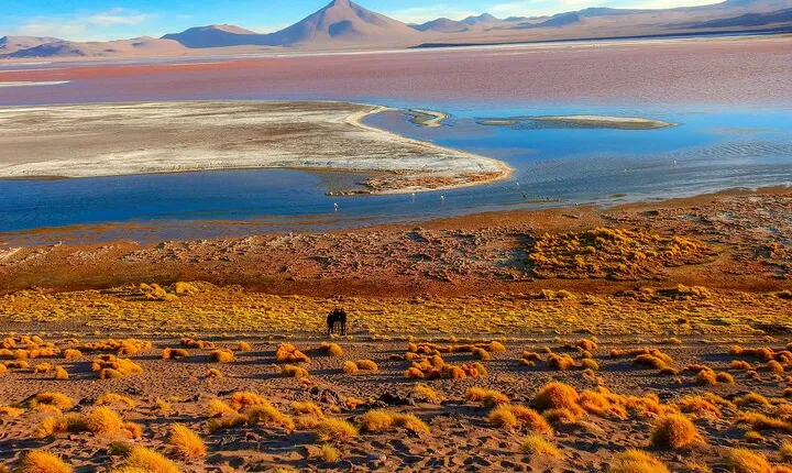 Uyuni Salt Flats _ 3 Days/2Nights _ Shared Tour_English Speaking Guide