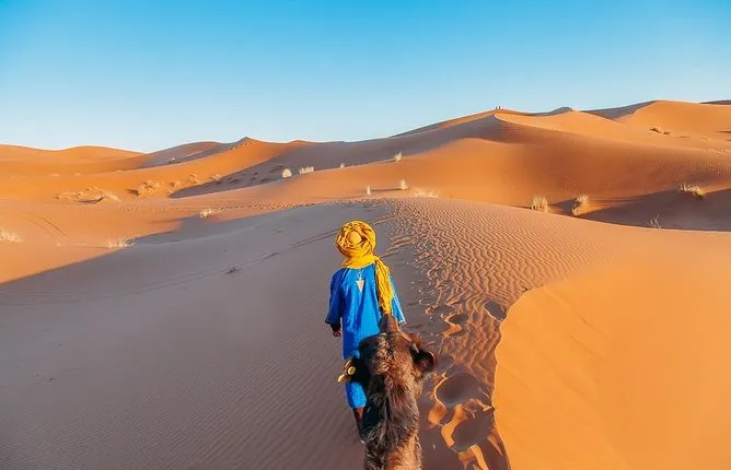 5-Day Private Tour to Merzouga and Marrakech from Chefchaouen
