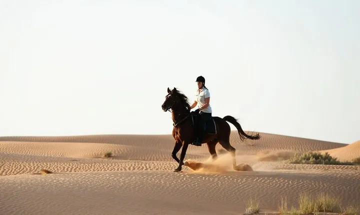 Horseback Riding in Dubai Desert with Transfers