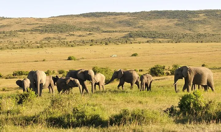 3 Day 2 Nights Maasai Mara Safari