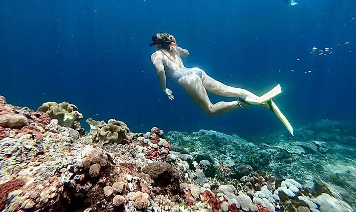 Swim With Manta Rays Lembongan Snorkeling and Day Tour