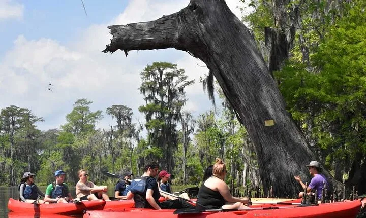Manchac Swamp EXTENDED Kayak Tour with Pickup