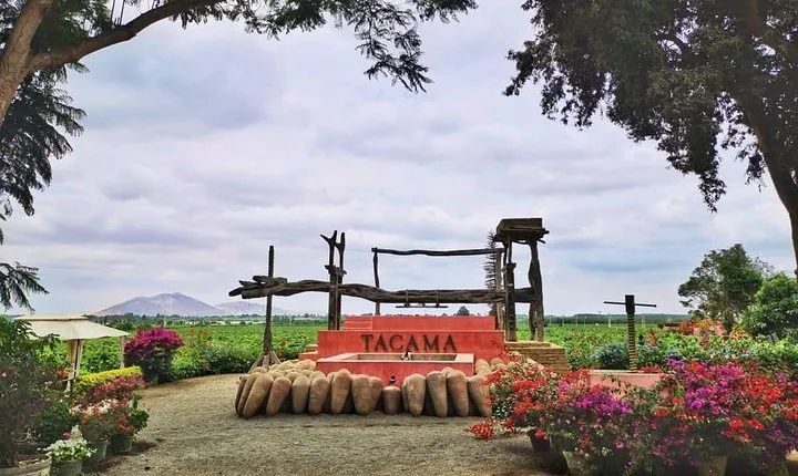 Winery and Pisco Distillery tour