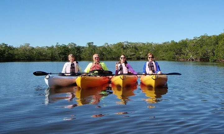 1 Hour Guided SUP/Kayak Tour in Pelican Bay at Fort Myers Beach