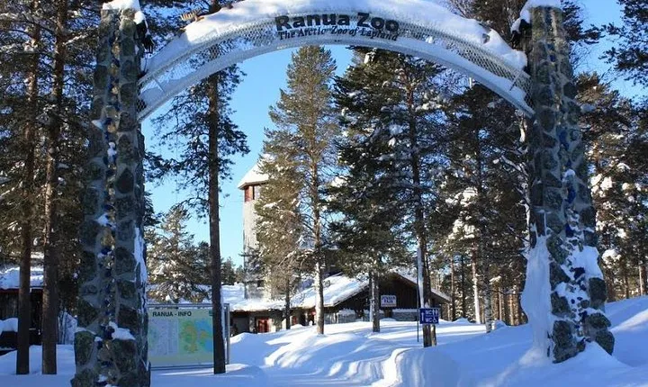 Ranua Zoo Trip from Rovaniemi with lunch