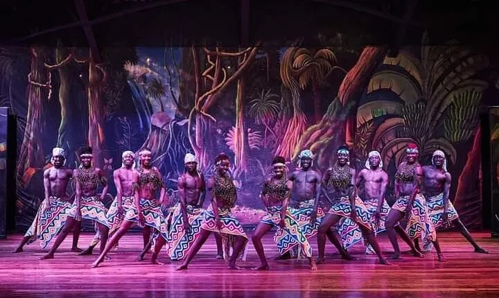 Private Dinner and Dance Experience in Nairobi Safari Park Hotel