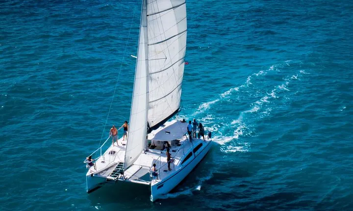 Champagne Dolphin Sail and Reef Snorkel