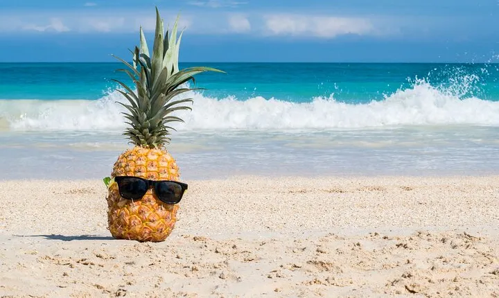 Oahu's Ultimate Grand Circle Island Tour with Snorkeling and More