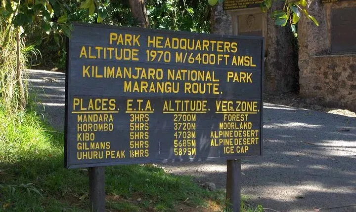 1-Day Hike - Mount Kilimanjaro