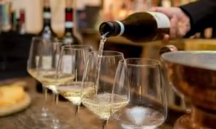 Unique Wine tasting in Verona, with Amarone docg
