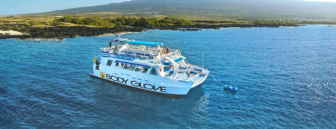 Deluxe snorkel and dolphin watch