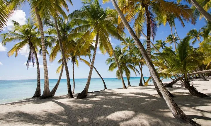 Saona Island Day Trip From Punta Cana with Lunch and Open Bar