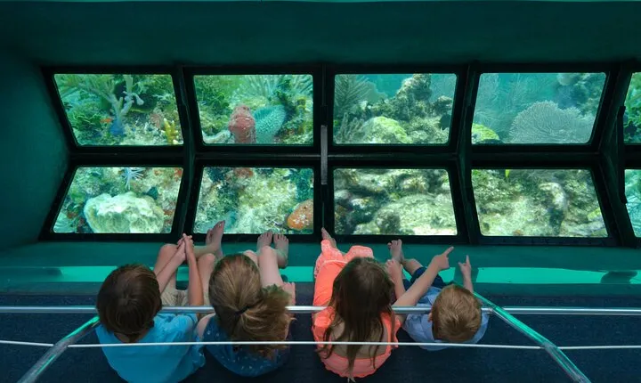 Key West Glass-Bottom Boat Tour with Sunset Option