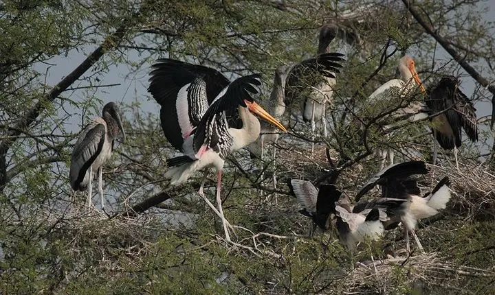 Agra To Bharatpur Same Day Tour with Fatehpur Sikri