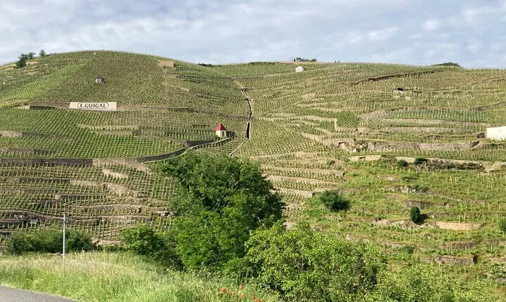 Guided Tour of the Coteaux Côte Rôtie for Parents and Children Duos