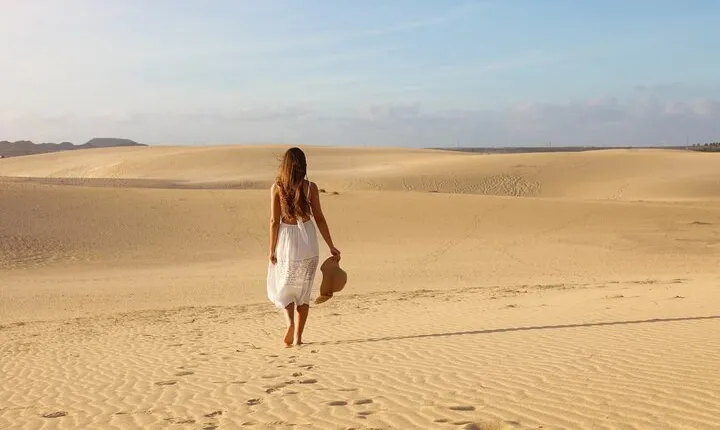 Discover Fuerteventura in One Day 