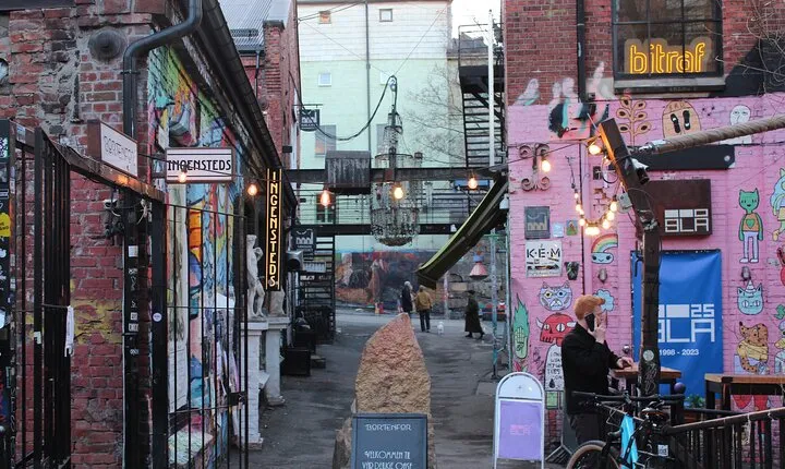 Explore Oslo’s Art and Culture with a Local