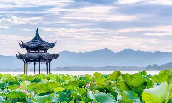 Hangzhou Private Day Tour with West Lake