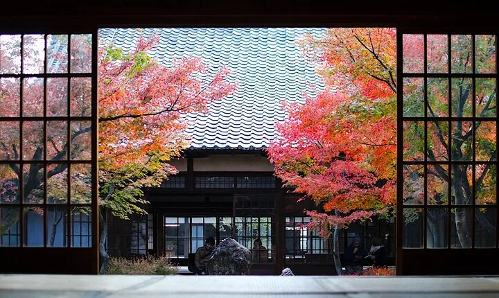 Kyoto Private Tour: One Day Highlights and Cultural Gems