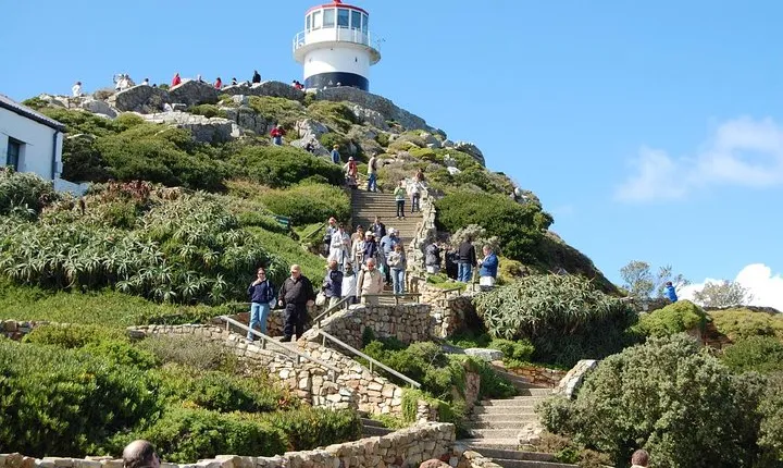 Half day Cape Point Sightseeing Tour with Penguins from Cape Town