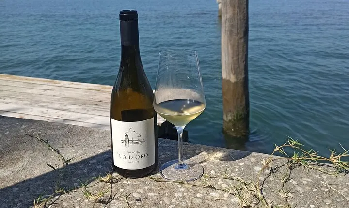 Private Wine Tasting Experience in Venice
