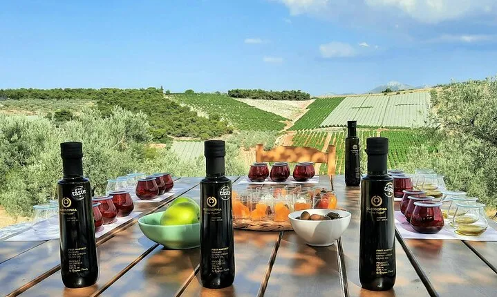 From Athens: Olive Oil Tasting, Olive Grove & Wine Experience