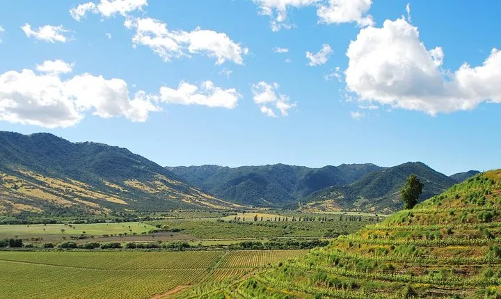 Private Transfer from Santiago or Santiago Airport to Colchagua or Santa Cruz