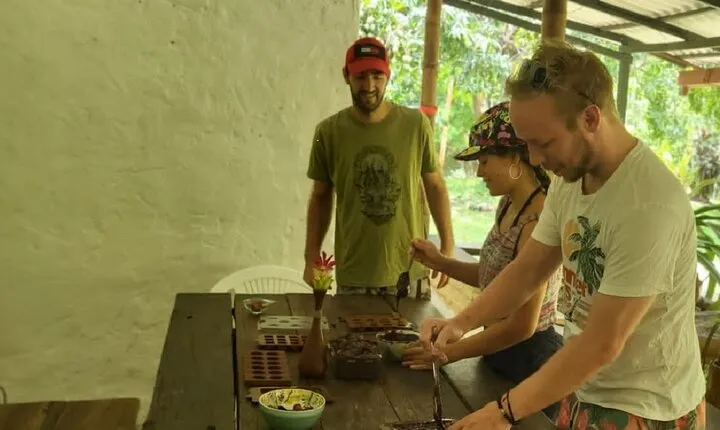 Artisanal chocolate: from the garden to the table