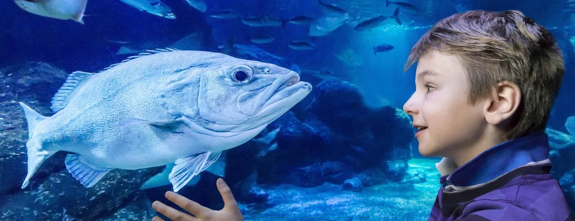 SEA LIFE Berlin tickets