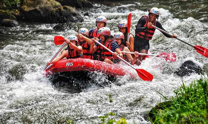 Bali Rafting with Cliff CARVING Relief