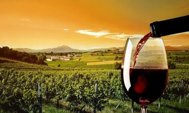 Discover Lebanon's Finest Wine: Full Day Tour of the Bekaa Valley