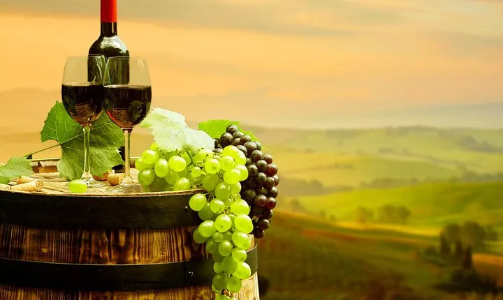 DeepWine Half Day 2 Wineries & Lunch or Dinner in Tuscan Hills