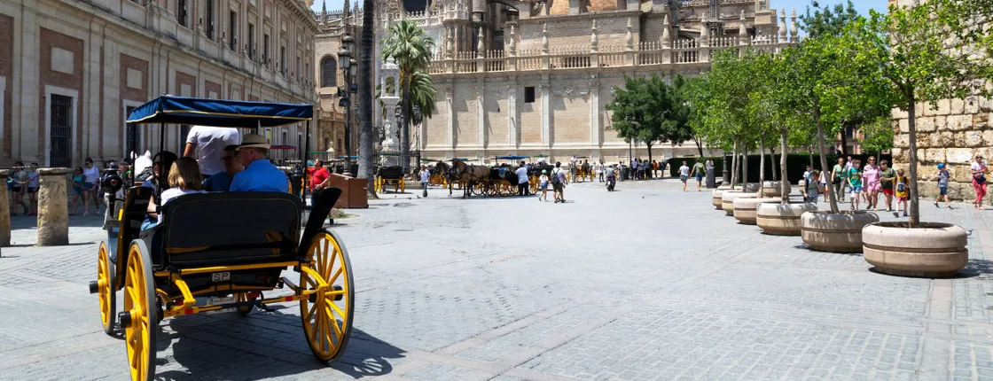 Seville City Tour & Shopping Experience