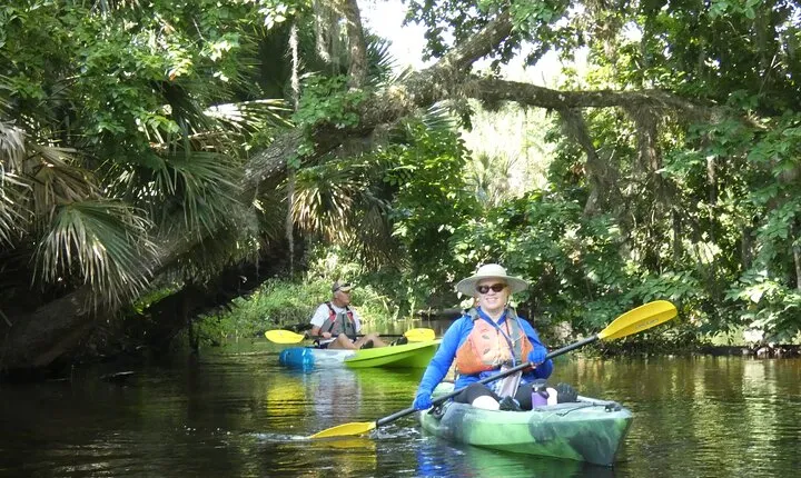 Small Group Scenic Wekiva River Kayak Tour near Orlando