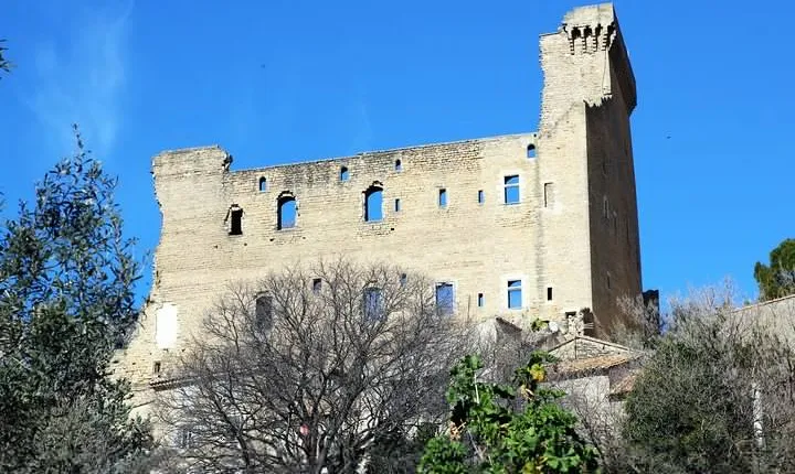 Avignon's history, local culture & the wines of Châteauneuf du Pape private tour